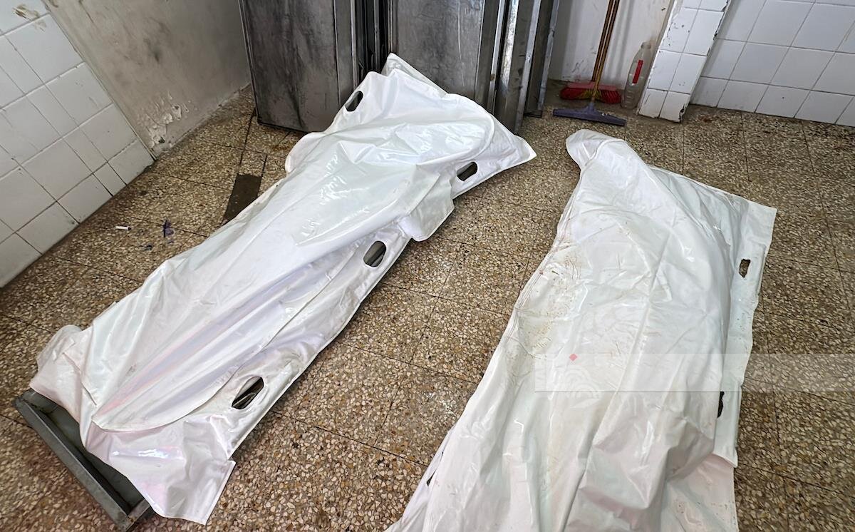 Gaza death toll climbs to 73,359 martyrs