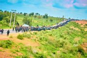 Photos: Arbaeen Walk in Katsina, Nigeria