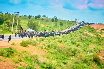Photos: Arbaeen Walk in Katsina, Nigeria