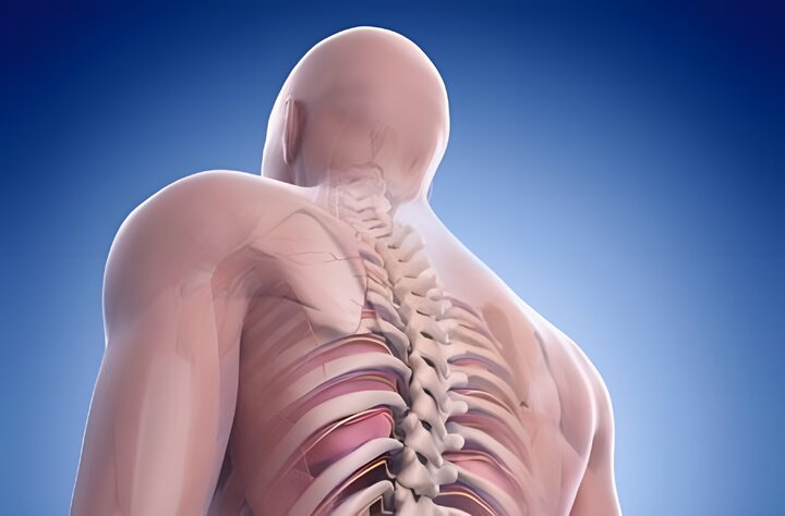 قرآن درباره منشأ نطفه چه می‌گوید؟ راز یک تعبیر بحث‌برانگیز
