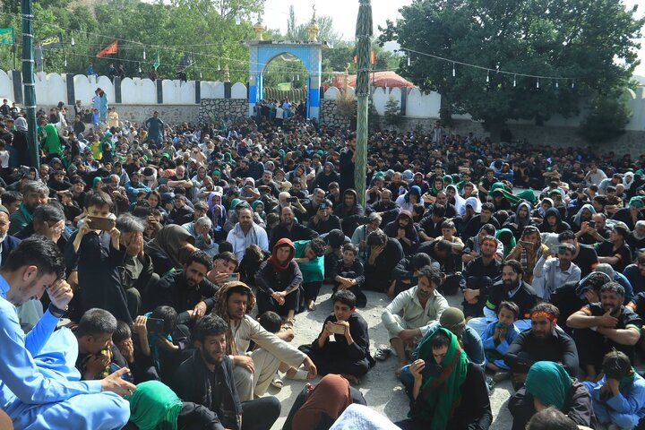 Log