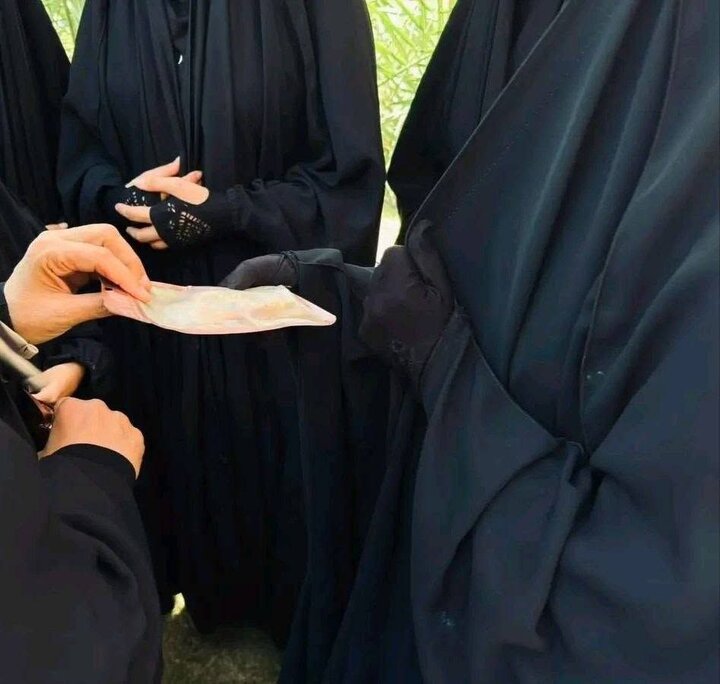 تقرير مصور/ اختتام برنامج المخيمات التبليغية في قضاء طويريج 