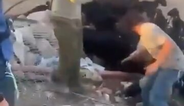 Video| Marahas na Pag-atake ng Isang Zionist Settler sa Isang Babaeng Dayuhang Aktibista