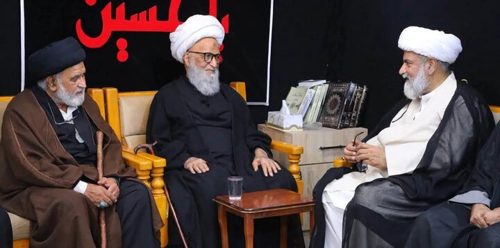 دیدار رئیس مجلس وحدت مسلمین پاکستان با آیت الله بشیر نجفی