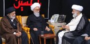 رئيس حركة العالم الإسلامي الباكستاني يلتقي آية الله بشير النجفي في النجف
