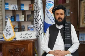 طالبان حکومت کے شیعہ عہدیدار کا شیعہ مخالف پابندیوں سے انکار؛ افغانستان میں زمینی حقائق مختلف