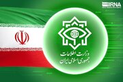 Iran: Seli mbili za makundi ya kigaidi zakamatwa kusini mashariki mwa nchi