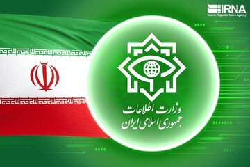 Iran: Seli mbili za makundi ya kigaidi zakamatwa kusini mashariki mwa nchi