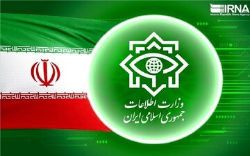 Wizara ya Usalama ya Iran: Ufaransa Ichukue Wajibu kwa Uingiliaji wa Wanadiplomasia Wake