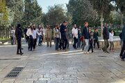 सियोनी बस्तियों का अल-अक्सा मस्जिद पर हमला