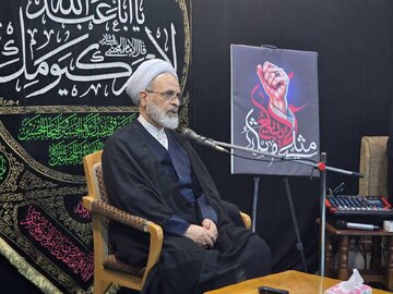 Photos: Ayatollah Arafi Meets Prominent Shia Scholars of Najaf Ashraf