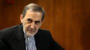 American families paying the price of their leaders’ gamble: Iran's Velayati