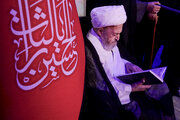 Photos: Ayatollah Sobhani's pilgrimage to Imam Reza Holy Shrine