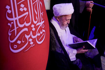 Photos: Ayatollah Sobhani's pilgrimage to Imam Reza Holy Shrine