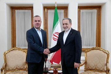 فضل‌الله در دیدار با عراقچی: دیپلماسی مقتدرانه ایران موجب مباهات دوستان ایران است
