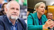 Israel bars two Swedish MEPs from entering occupied territories over Gaza criticism