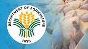 DA lifts poultry import ban on 2 US states, tiyak ang sapat na supply ng manok