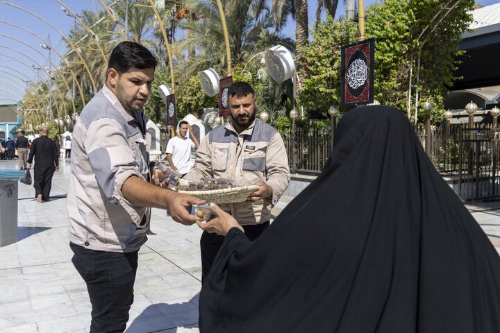 تقرير مصور/ قسم بين الحرمين يجني محصول نخيل الساحة الوسطية لتوزيعه على الزائرين
