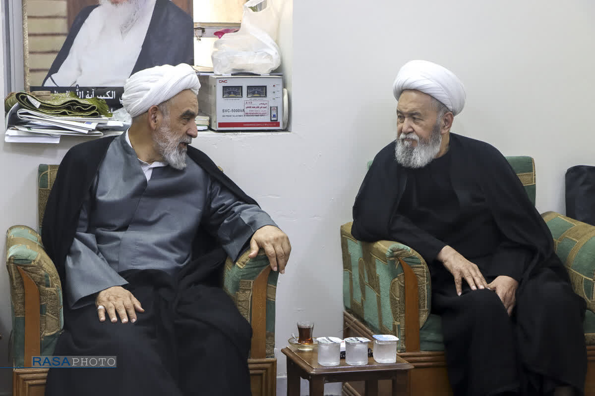 دیدار هیئت اعزامی مقام معظم رهبری با علمای نجف اشرف + تصاویر