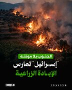إنفوغرافيك/ الكيان الصهيوني یمارس الإبادة الزراعية في جنوب لبنان