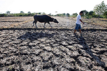 Matinding init at tagtuyot dulot ng El Niño, nagdulot ng P1 bilyong pinsala sa agrikultura sa Western Visayas