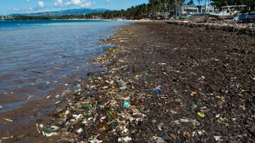 Pagdagsa ng turista sa Boracay, nagdulot ng polusyon at pagkasira ng coral reef—mga environmental group, nagbabala