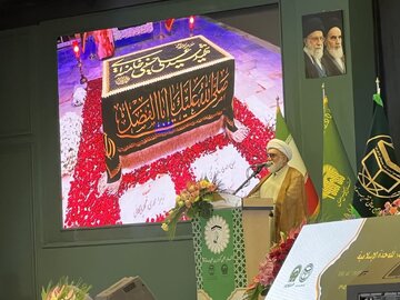 وحدت اسلامی فراتر از مباحث نظری است / شجاعت و شهامت در برابر جاهلان، رمز موفقیت است