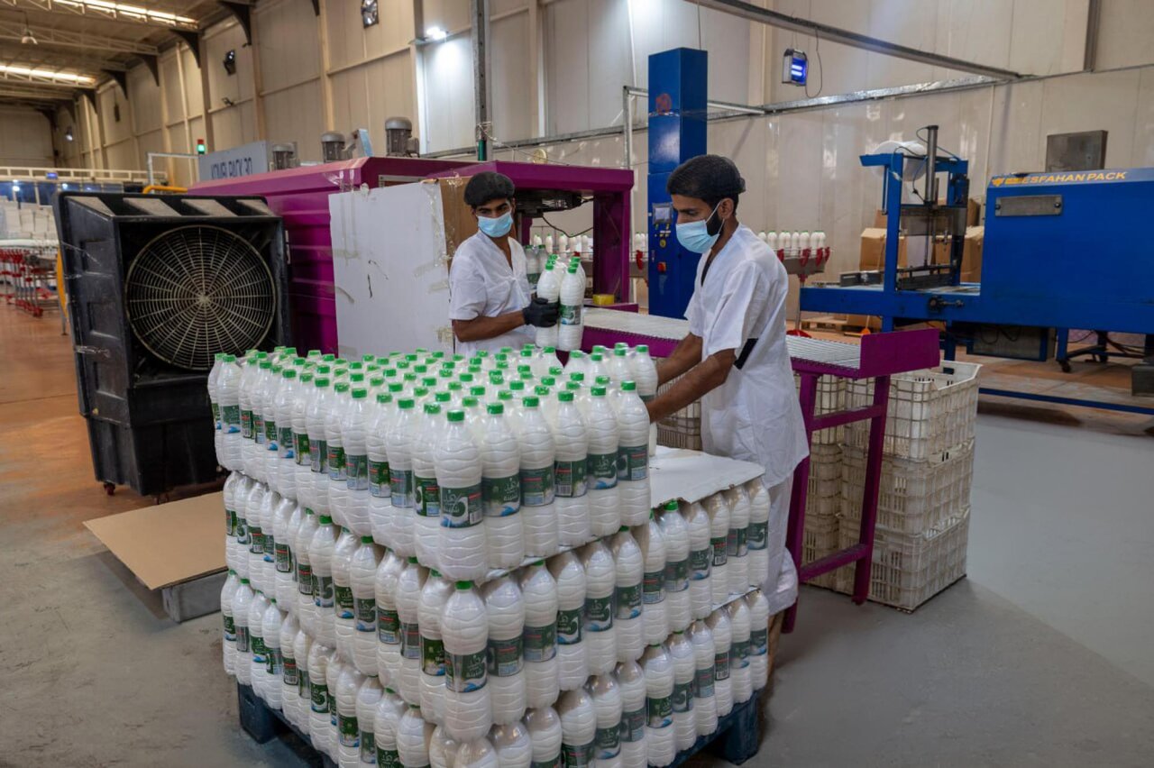 Al-Kafeel Company explains the stages of milk and yogurt production
