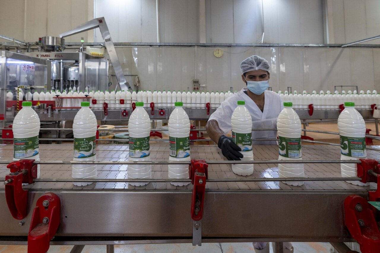 Al-Kafeel Company explains the stages of milk and yogurt production