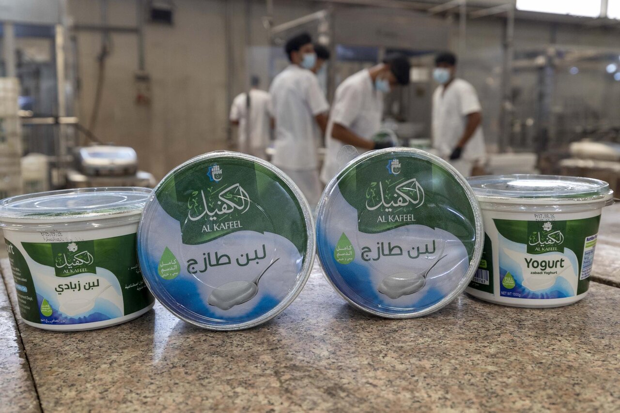 Al-Kafeel Company explains the stages of milk and yogurt production