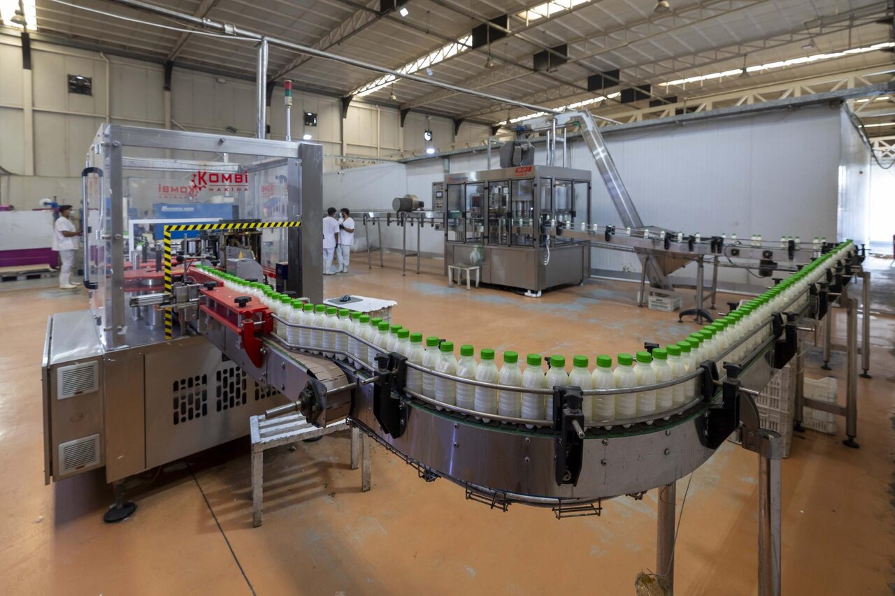 Al-Kafeel Company explains the stages of milk and yogurt production
