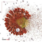 Iran: Maambukizi ya Corona Yavuka Kiwango cha Tahadhari