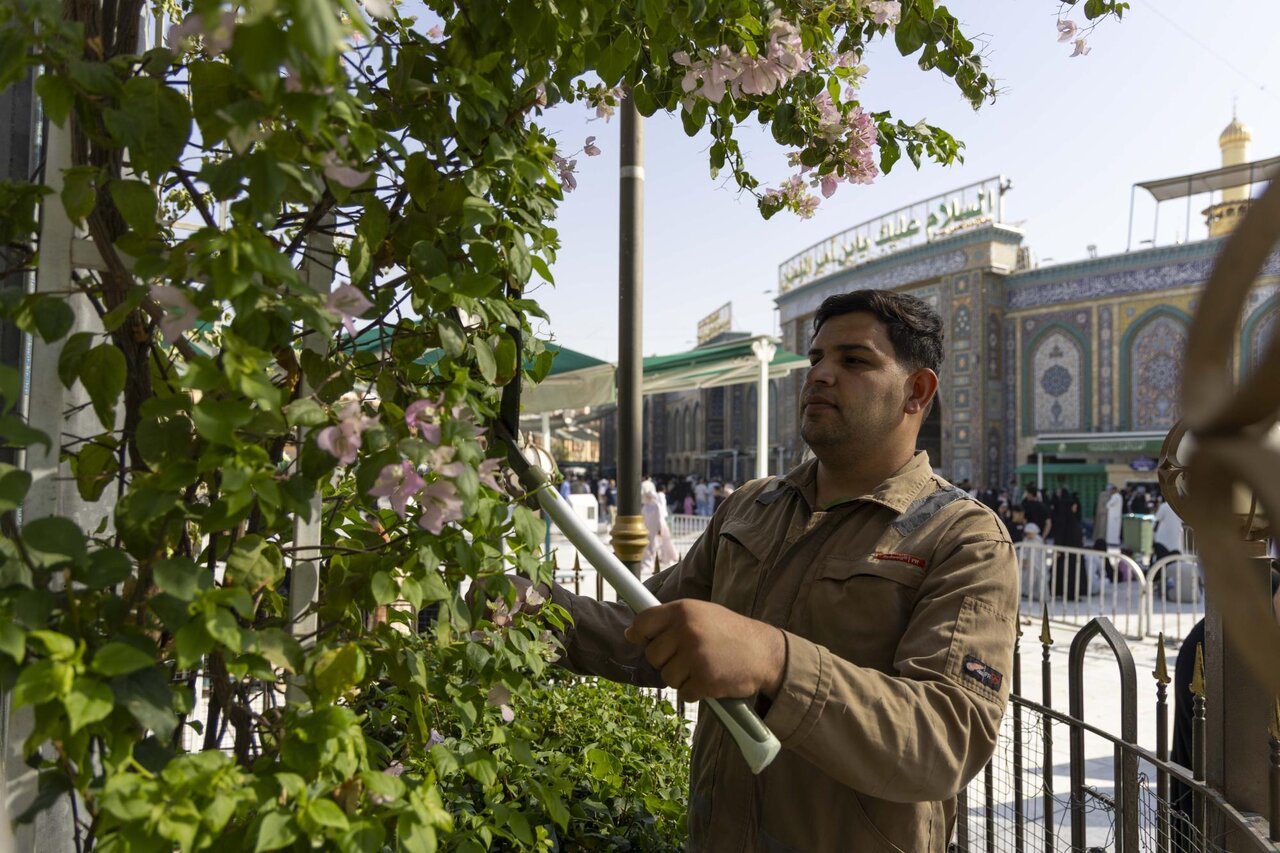 Preparing central courtyard and conducting pruning work on trees