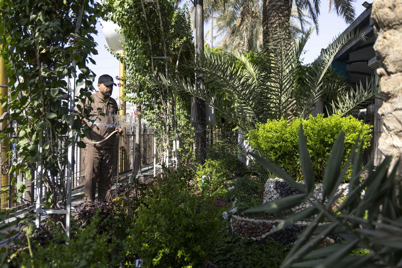 Preparing central courtyard and conducting pruning work on trees