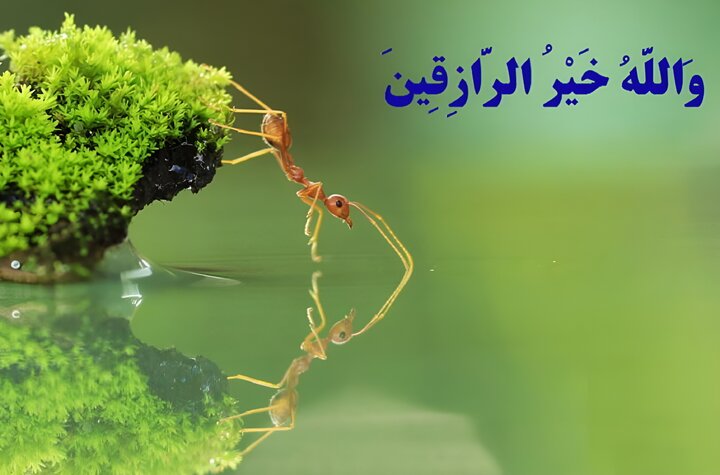 روزی بدون منت؛ فقط از یک منبع