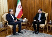 Balozi wa Iran katika OIC Akutana na Waziri wa Mambo ya Nje Abbas Araghchi
