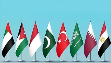 Paquistão e sete países islâmicos condenam expulsão forçada de palestinos da Faixa de Gaza