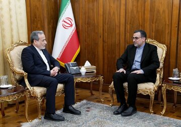 Balozi wa Iran katika OIC Akutana na Waziri wa Mambo ya Nje Abbas Araghchi