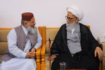 تأکید بر وحدت امت اسلامی در دیدار مفتی پاکستان با آیت‌الله بشیر نجفی