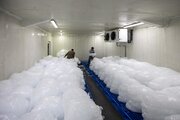 Al-Abbas Shrine provides crystal ice to visitors and residents of Karbala (+Photos)