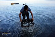 Photos: Sea and livelihood of Gaza's fishermen
