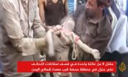 Video: From the crimes of Al-Saud in Yemen