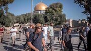 Eight Palestinians abducted following settler attack in West Bank