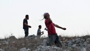 Two Palestinians injured in settler attack near Salfit