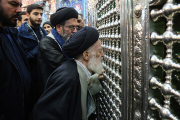 آیت‌الله شبیری زنجانی فقیهی از مکتب حوزه علیمه