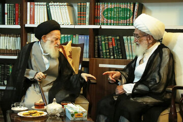 آیت‌الله نوری همدانی: آیت‌الله شبیری زنجانی در علم و تقوا کم‌نظیر بود