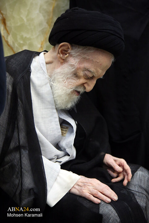آیت‌الله شبیری زنجانی فقیهی از مکتب حوزه علیمه