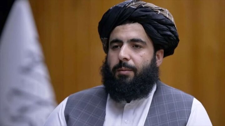 معاون سخنگوی طالبان: حملات پاکستان را پاسخ مناسب خواهیم داد