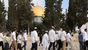 Cerca de 100 colonos israelenses entram nos pátios da Mesquita de Al-Aqsa