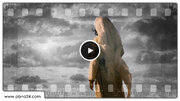 Video: Testing and tribulation; A path for human purification